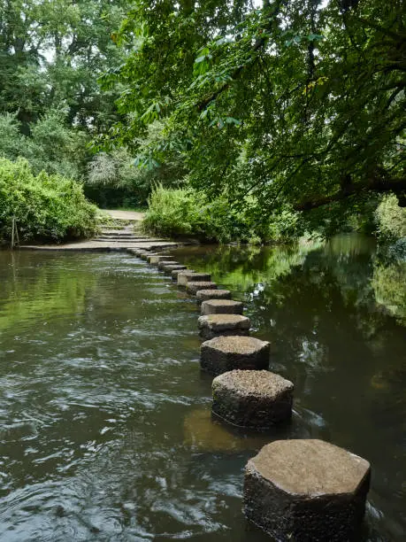 A string of stepping stones across the River Mole at the foot of Box Hill, marking the way across the glassy, tree lined waters.