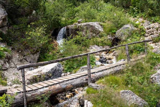 istock Udai valley, wooden bridge over the stream 1346698411
