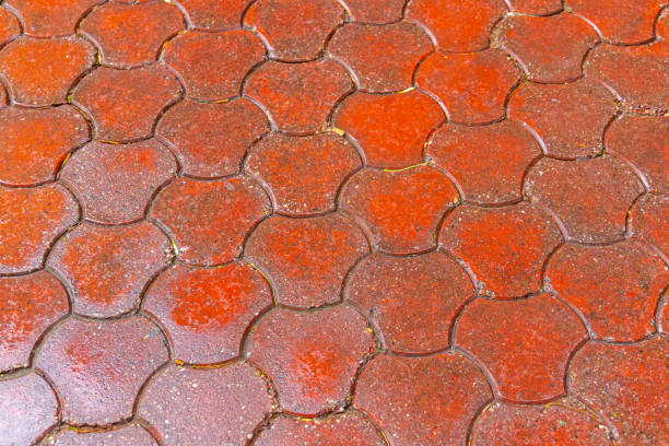 Wet Terracotta Floor TIles Garden Pavement Pattern