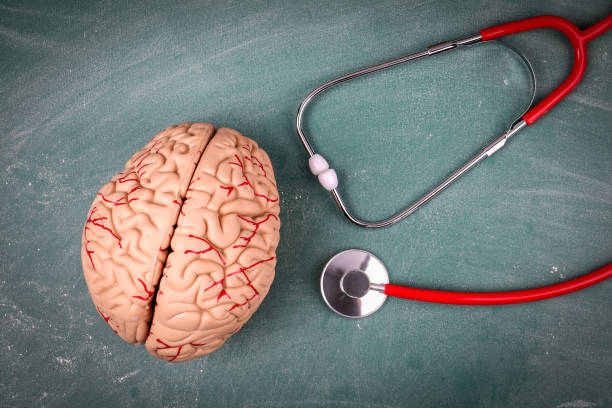 istock Plastic brain model and doctor's stethoscope. Fake news concept 1346699384