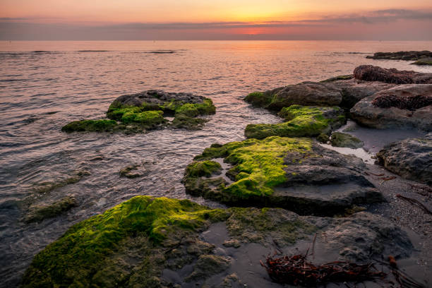 istock Carabassi beach, in Alicante, Spain, at sunrise 1346702302