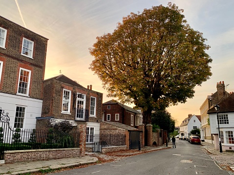 Golden hour in capital of UK. Chiswick street view. Old tudor and Georgian brick houses with front gardens. Autumn. Vanilla sky, sunset. Vertical. Selective focus