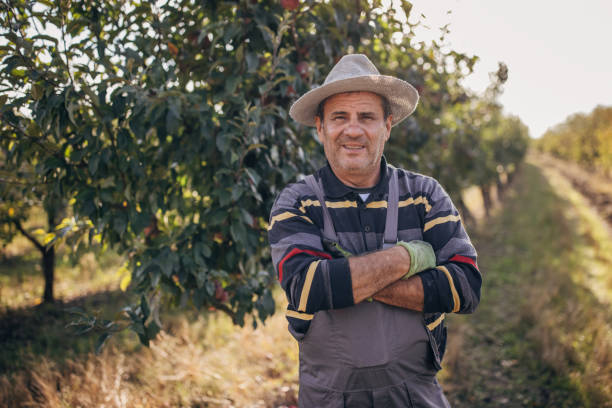 istock Portrait of a successful farmer 1346709860