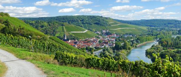 istock Randersacker. An idyllic village between vineyards at the river 1346711314