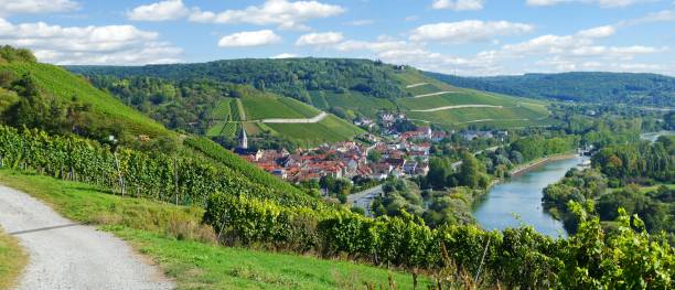 Randersacker. An idyllic village between vineyards at the river Look down from the hill over the vine to the village and the river franconia stock pictures, royalty-free photos & images