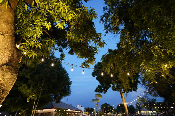 istock Festival vibe  outdoor at night 1346714733