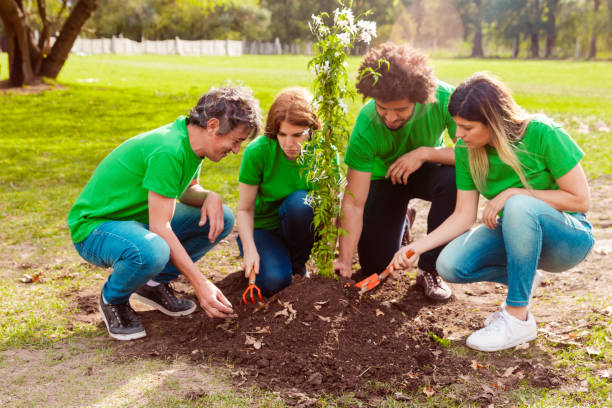 istock Environmentalists planting in park on sunny day 1346716755