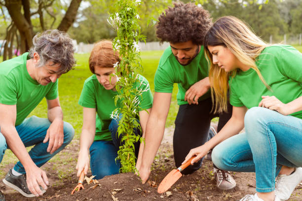istock Environmentalists planting together in park 1346716880