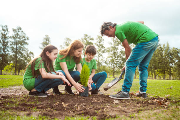 istock Environmentalists planting together in park 1346716967