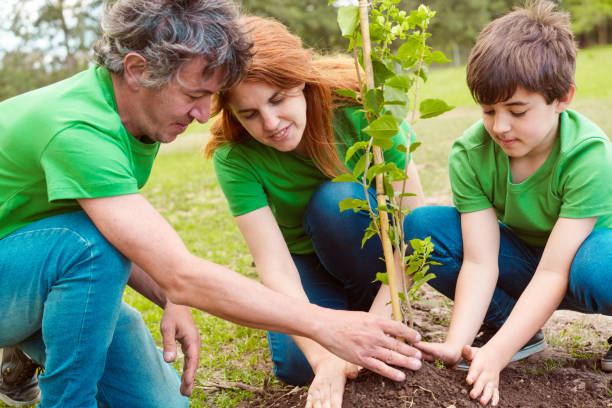 istock Environmentalists planting together in park 1346717578