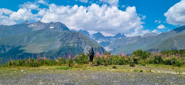 adishi - un homme debout au bord d’une pente avec les buissons de rosebay willowherb fleurissant dans les hautes montagnes du caucase - caucasus mountains photos et images de collection