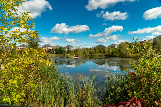 istock A pond among green bushes and reeds 1346719214