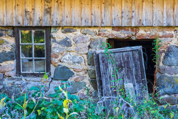 Abandoned house with a wild garden