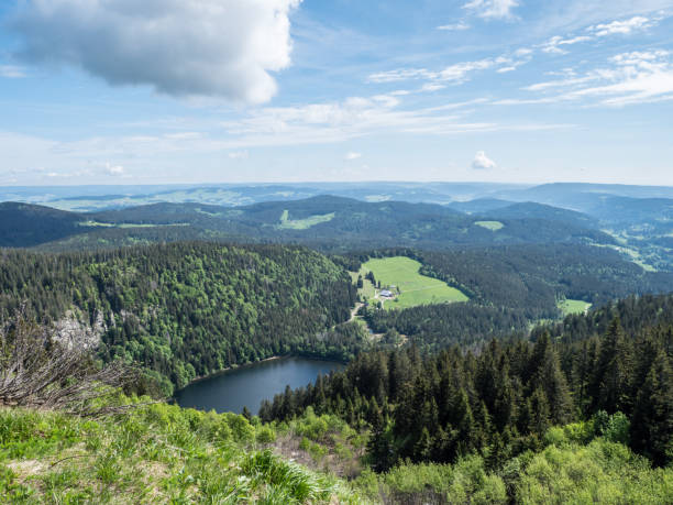istock View over the Black Forest in Germany 1346722538