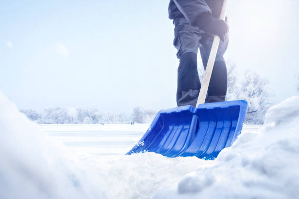 Person using a snow shovel in winter stock photo