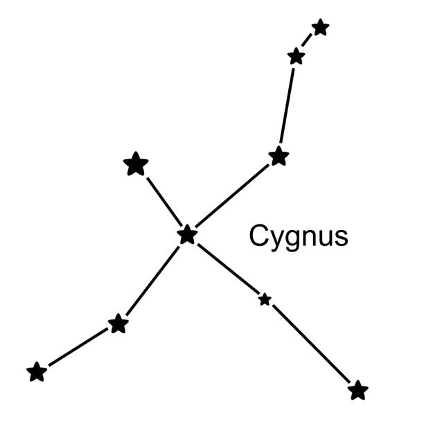 Cygnus Star Pattern 100+ Cygnus Constellation Illustrations, Royalty-Free Vector Graphics ...