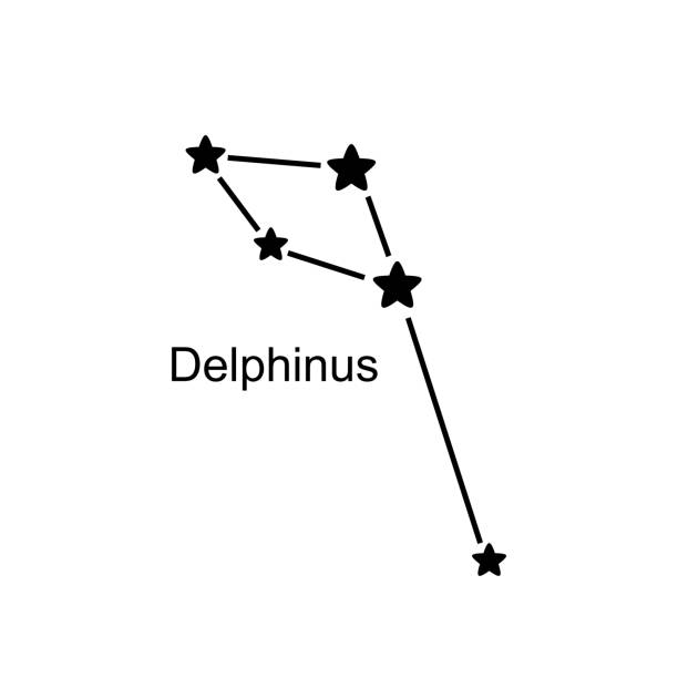 Constellation Delphinus on white background, vector illustration Constellation Delphinus on white background, vector illustration constellation delphinus stock illustrations