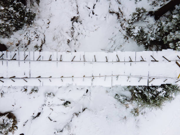istock overhead top view of snowed bridge in the forest 1346728022