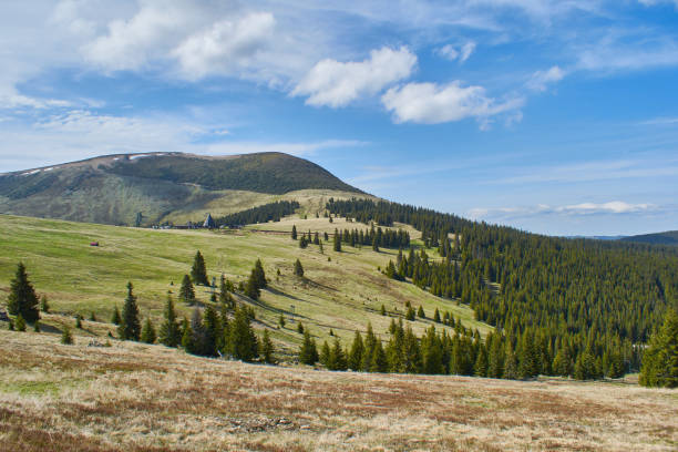 istock Panoramic view from the ski slope in mountains Sureanu with peak cloud sky and fir trees 1346728900