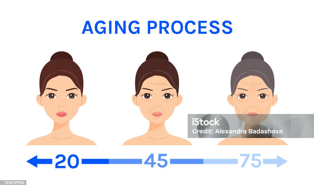 Isolated Beautiful Young Caucasian Girl Mature Lady And Elderly Woman Aging  Of A Cute Female Face Flat Cartoon Style White Background Illustration For  Beauty Medical And Cosmetics Design Vector Stock Illustration -