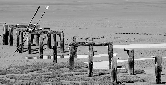Old dilapidated jetty at Snettisham, North Norfolk, East Anglia, England, UK.