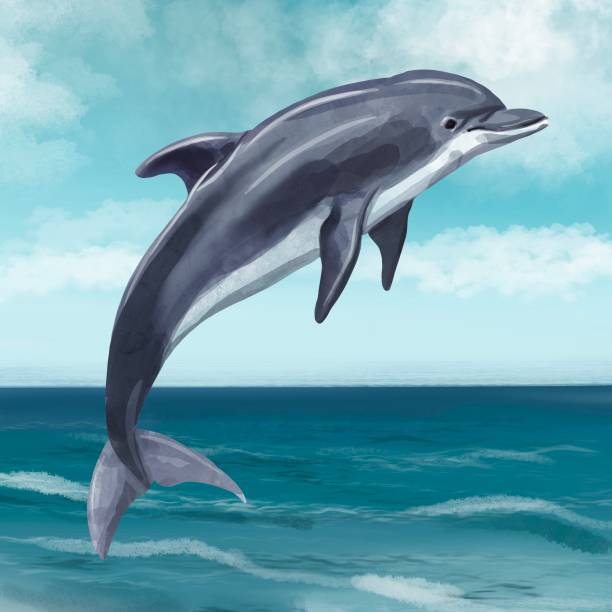 delfin akwarelowy skacze z wody. żywa ilustracja - dolphin jumping sea animal stock illustrations