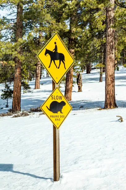 Photo of Prairie dog xing sign in the snow in Bryce Canyon National Park