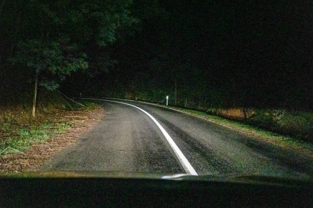 istock Driving through a forest in Australia at night. 1346733901