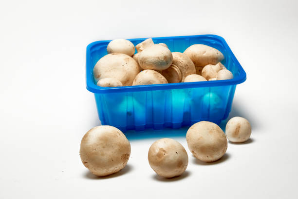 Mushrooms at a market