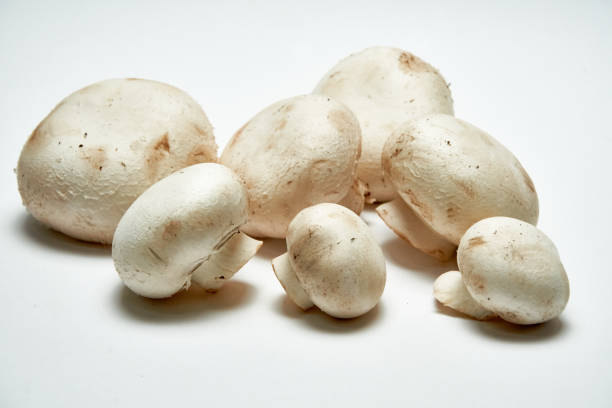 istock White mushrooms champignons on a light background. 1346736349