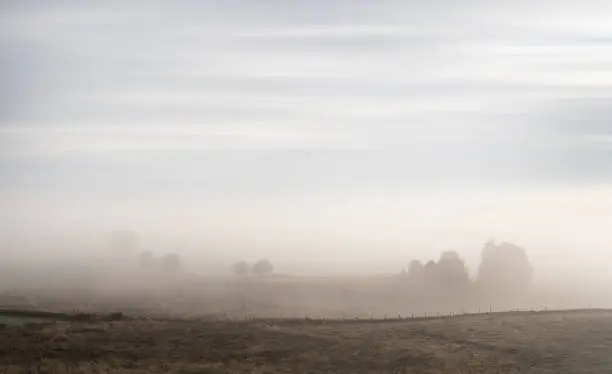 Landscape of the Aubrac plateau in the fog on an autumn morning