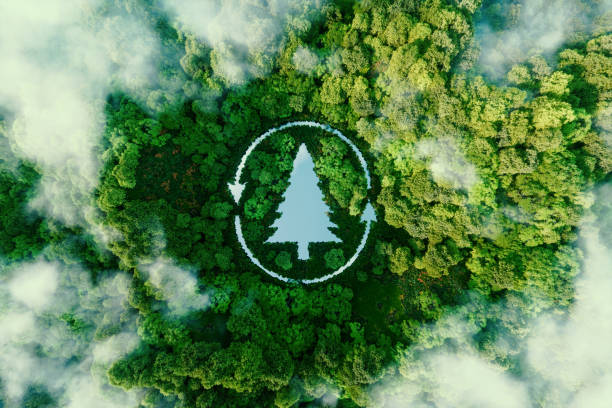 A tree-shaped lake in the midst of healthy and lush nature serving as a metaphor for sustainable logging. 3d rendering A tree-shaped lake in the midst of healthy and lush nature serving as a metaphor for sustainable logging. 3d rendering tree farm stock pictures, royalty-free photos & images