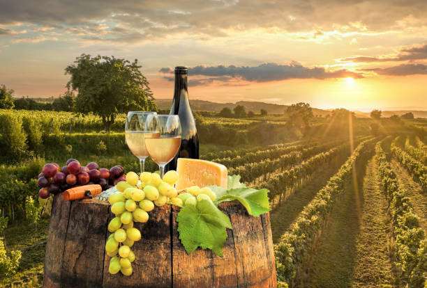 Colorful sunset over Wachau valley with bottle of wine on barrel against golden vineyards in Austria Colorful sunset over Wachau valley with bottle of wine on barrel against golden vineyards in Austria wiener neustadt stock pictures, royalty-free photos & images