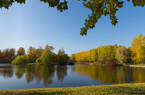 istock Autumn park with pond and trees 1346740810