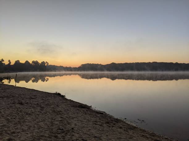 istock Early morning beach on a forest lake 1346741191