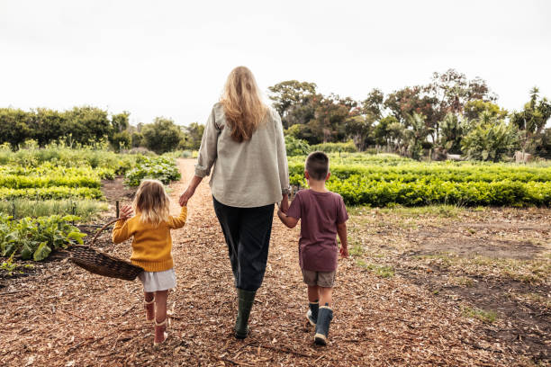 istock Single mother going harvesting with her two kids 1346744134