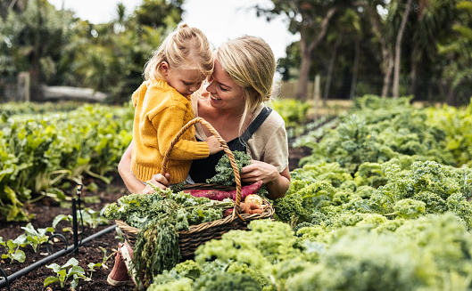Bonding in the garden. Happy young mother smiling cheerfully while carrying her daughter and picking fresh kale in a vegetable garden. Self-sufficient family gathering fresh produce on their farm.