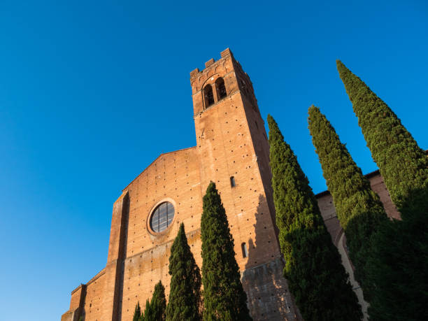 basílica de san domenico em siena - italy bell tower built structure building exterior - fotografias e filmes do acervo