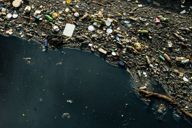 istock Trash floating in the water - Water Pollution 1346746002