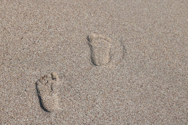 istock Footprints in sand on beach in summer 1346747935