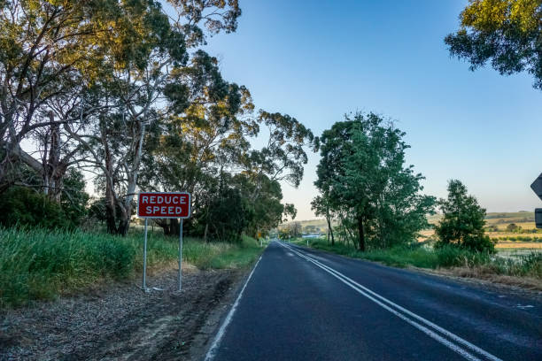 istock A road through the wilderness of Australia. 1346748045