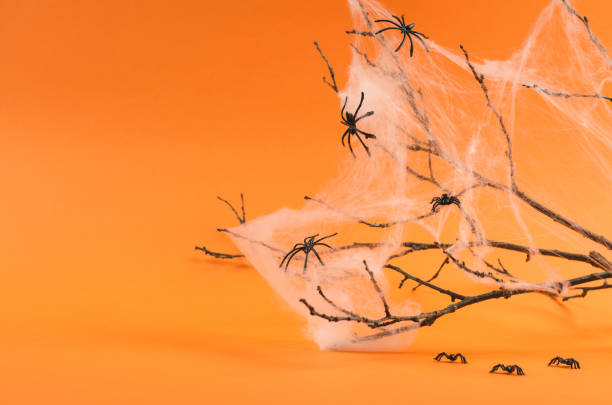 istock Halloween background with place for text. Branches and spider web with spiders on an orange background, copy space 1346754871
