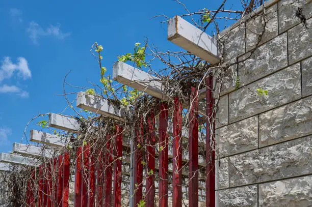 a beautiful pergola made of grapevine between the stone walls made of white stone