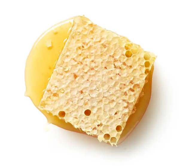 Photo of piece of fresh honey combs