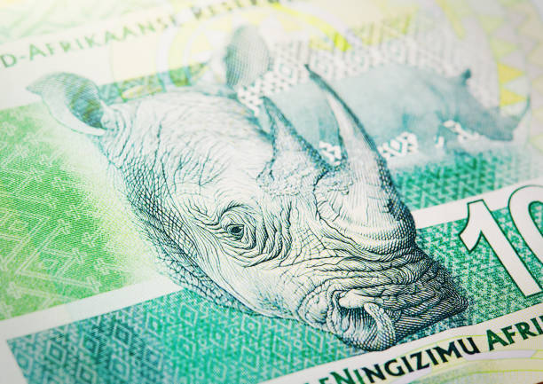south african r10 banknote depicting a rhinoceros head - ten rand note imagens e fotografias de stock