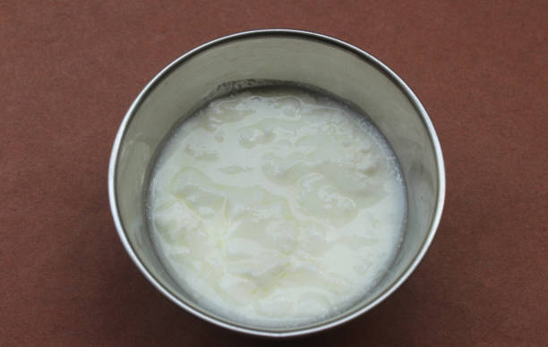istock Curd in a steel bowl 1346766384