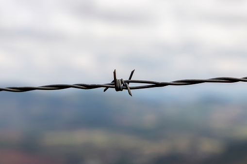 barbed wire fence with blurred nature background. selective focus