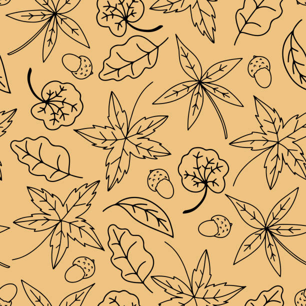 590+ Maple Leaf Outline Cartoons Stock Illustrations, Royalty-Free ...