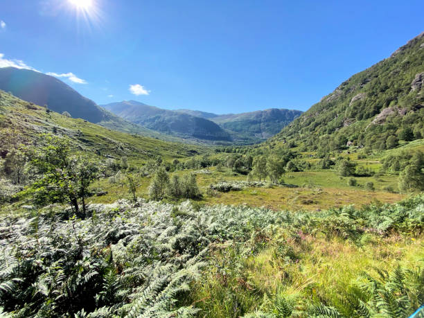 una vista delle highlands scozzesi vicino a ben nevis - ben nevis nevis ben loch foto e immagini stock