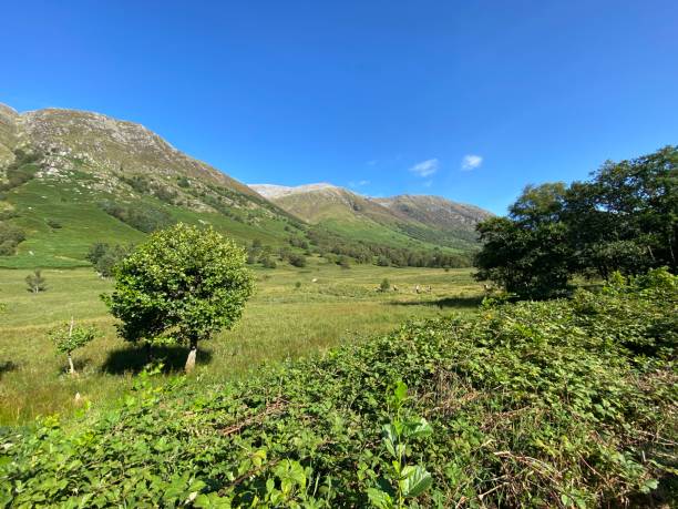 una vista delle highlands scozzesi vicino a ben nevis - ben nevis nevis ben loch foto e immagini stock